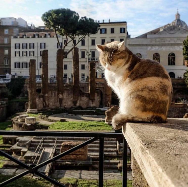 Ancient Roman Mansion Extérieur photo